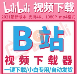 488.jpg