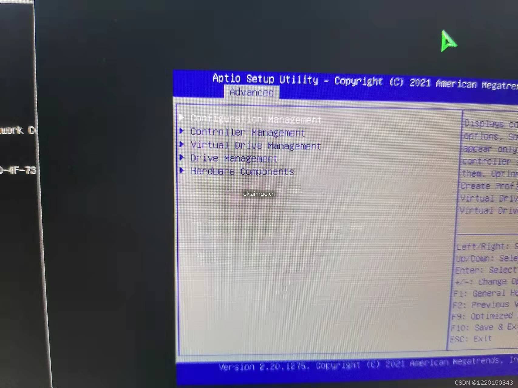 3.jpeg