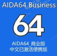 AIDA64_商业版_Business_中文已激活便携版