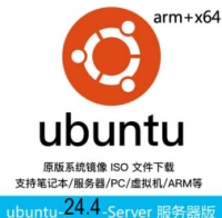 乌班图ubuntu原版 Ubuntu 24.04 LTS 服务器版 64位