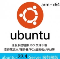 乌班图ubuntu原版 Ubuntu 22.04.5 LTS 服务器版 64位