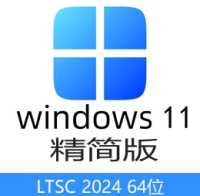 精简版 简体中文 WIN11 Enterprise LTSC 2024 企业版 64位 镜像包