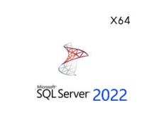 Microsoft Sql server 2022 简体中文版 64位